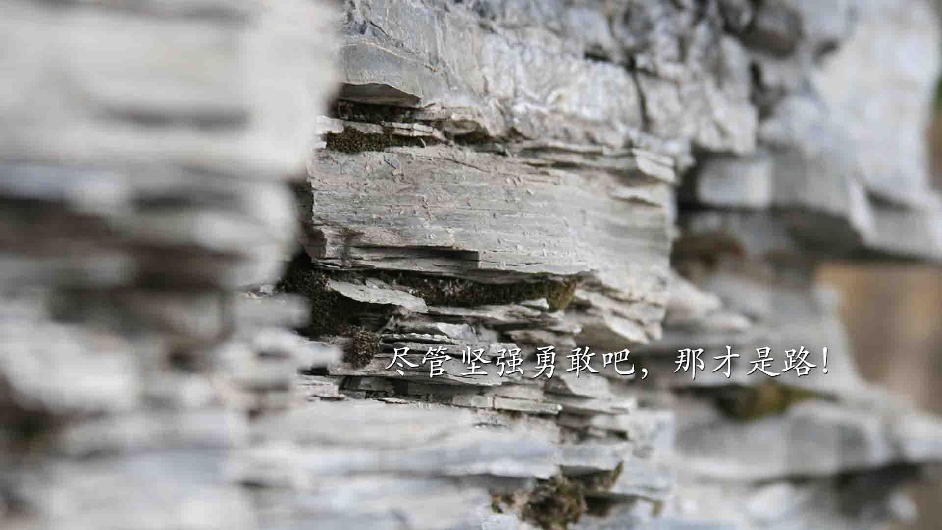 九游体育官方入口-孤骑破阵,王冠加冕—伦纳德冠军级表现终结雄鹿王朝幻想